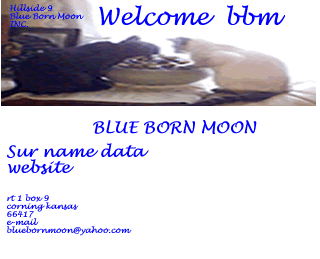 bluebornmoonwelcomebanner_blue_alpha_t.gif